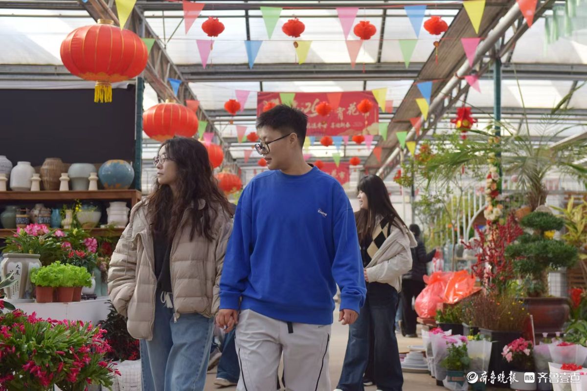 新春随手拍|花香迎新春， “百合”花热销