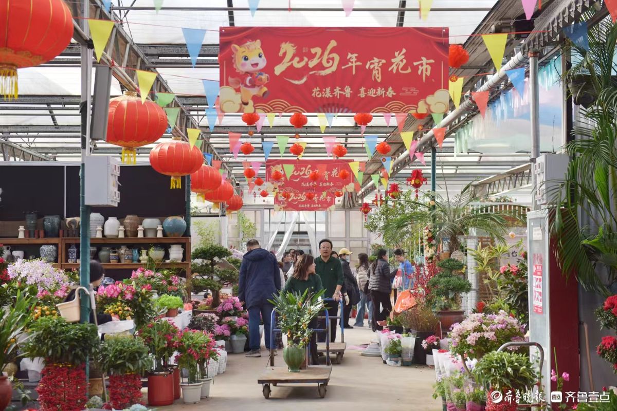 新春随手拍|花香迎新春， “百合”花热销