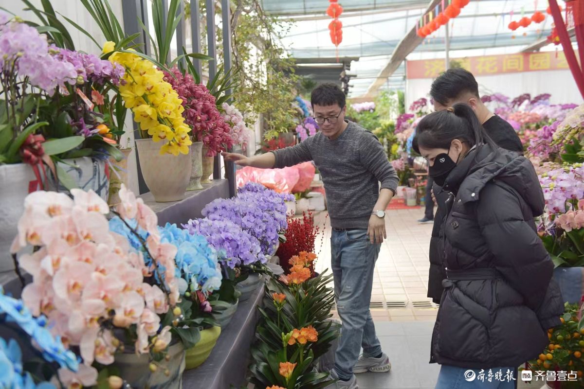 新春随手拍|花香迎新春， “百合”花热销