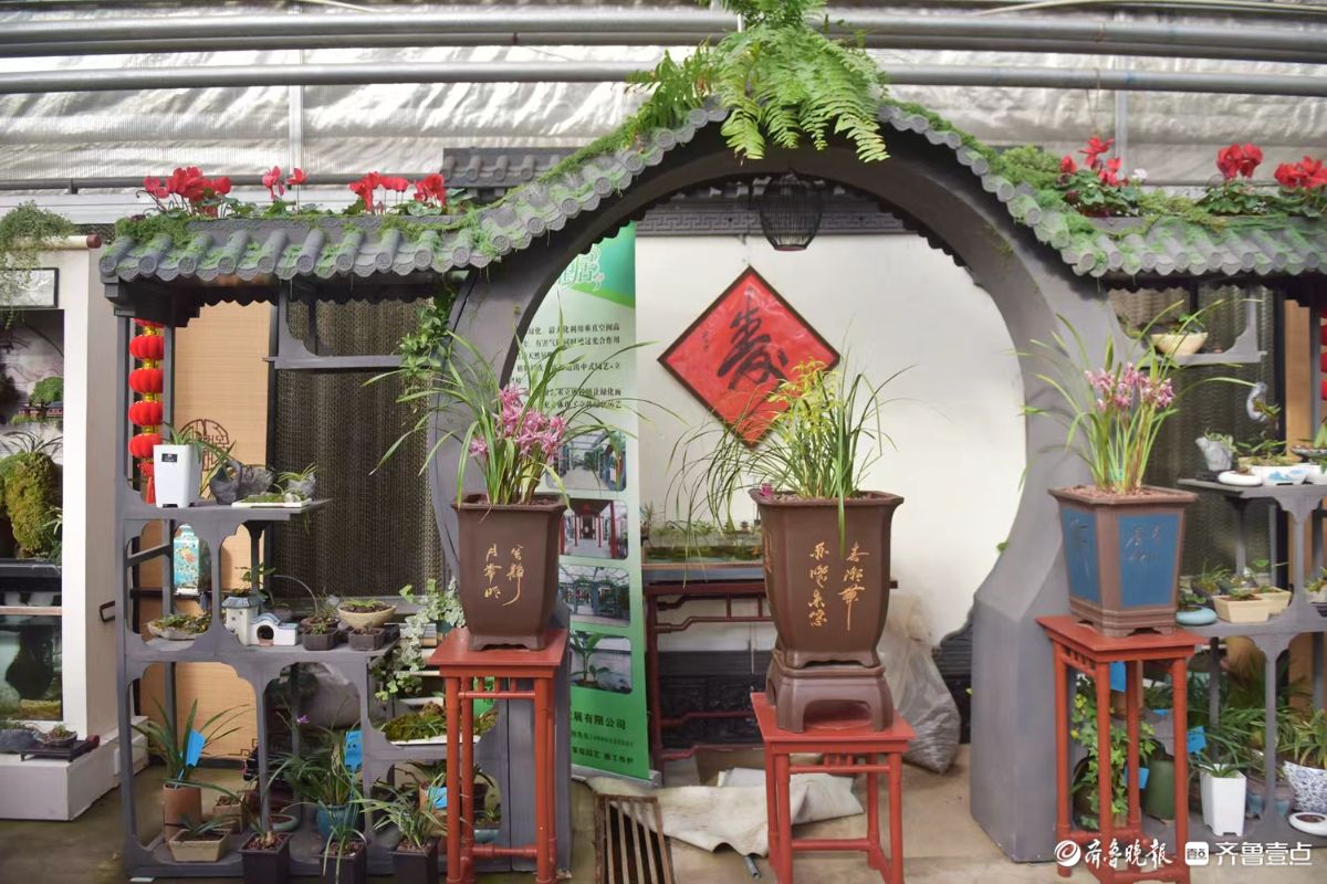 新春随手拍|花香迎新春， “百合”花热销