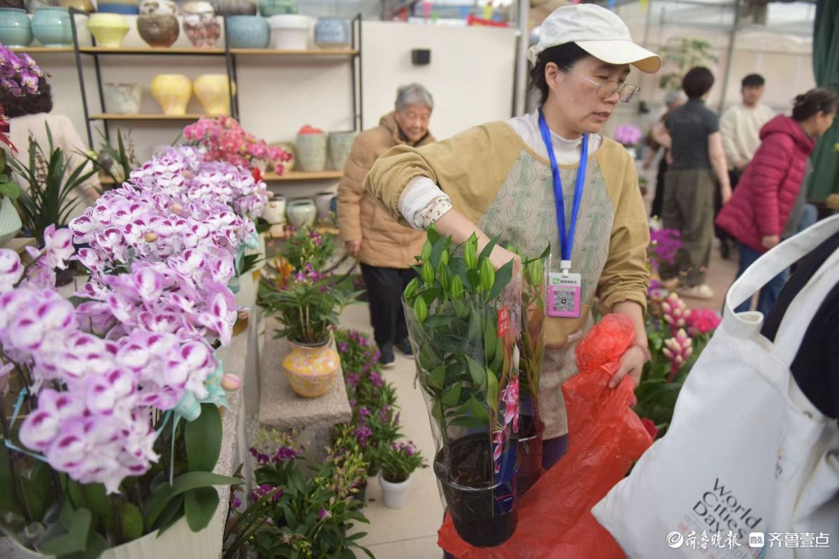 新春随手拍|花香迎新春， “百合”花热销