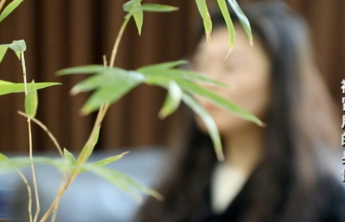 遗失的证件，偷走的身份：如何堵住身份信息安全漏洞