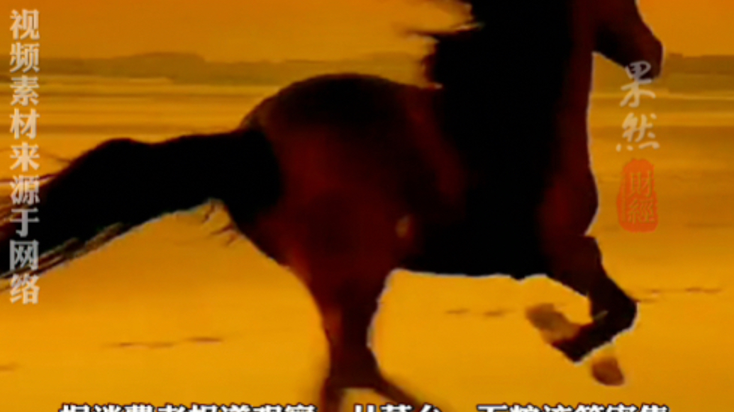 果然财经|马年年货变社交货币:父辈囤马年茅台年轻人抢小马宝莉