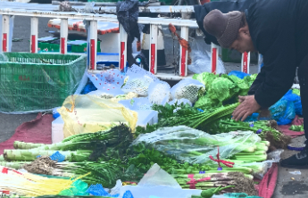 新春走基层｜一句“我们就是卖菜的”，凭啥这么动人