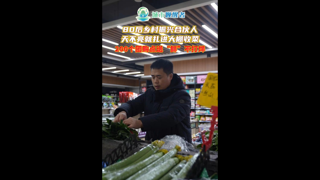 城市唤醒者丨天不亮就扎进大棚收菜，新鲜蔬菜从地头直达家门口