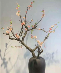 读城记|插了梅花便过年