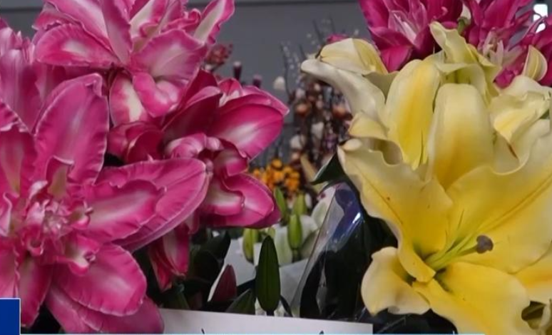 过敏人士如何安全选购年宵花？专家支招