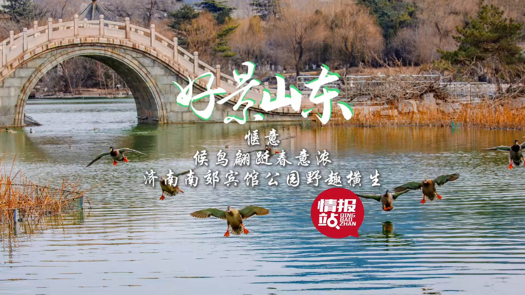果然视频·好景山东|候鸟翩跹春意浓，济南南郊宾馆公园野趣横生