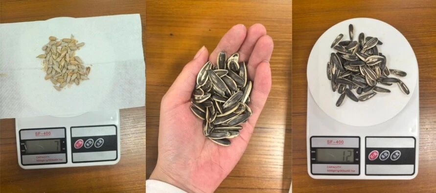 每天一小把，男子血脂超标10倍！春节都爱吃，医生紧急提醒