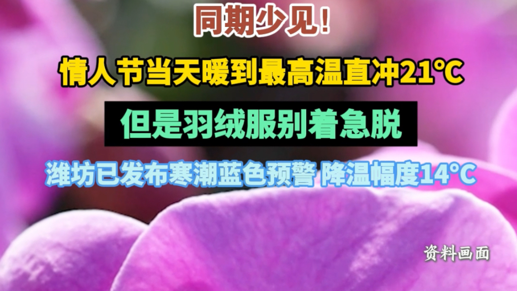 果然视频|潍坊情人节暖到21℃同期少见,14日夜间寒潮将至