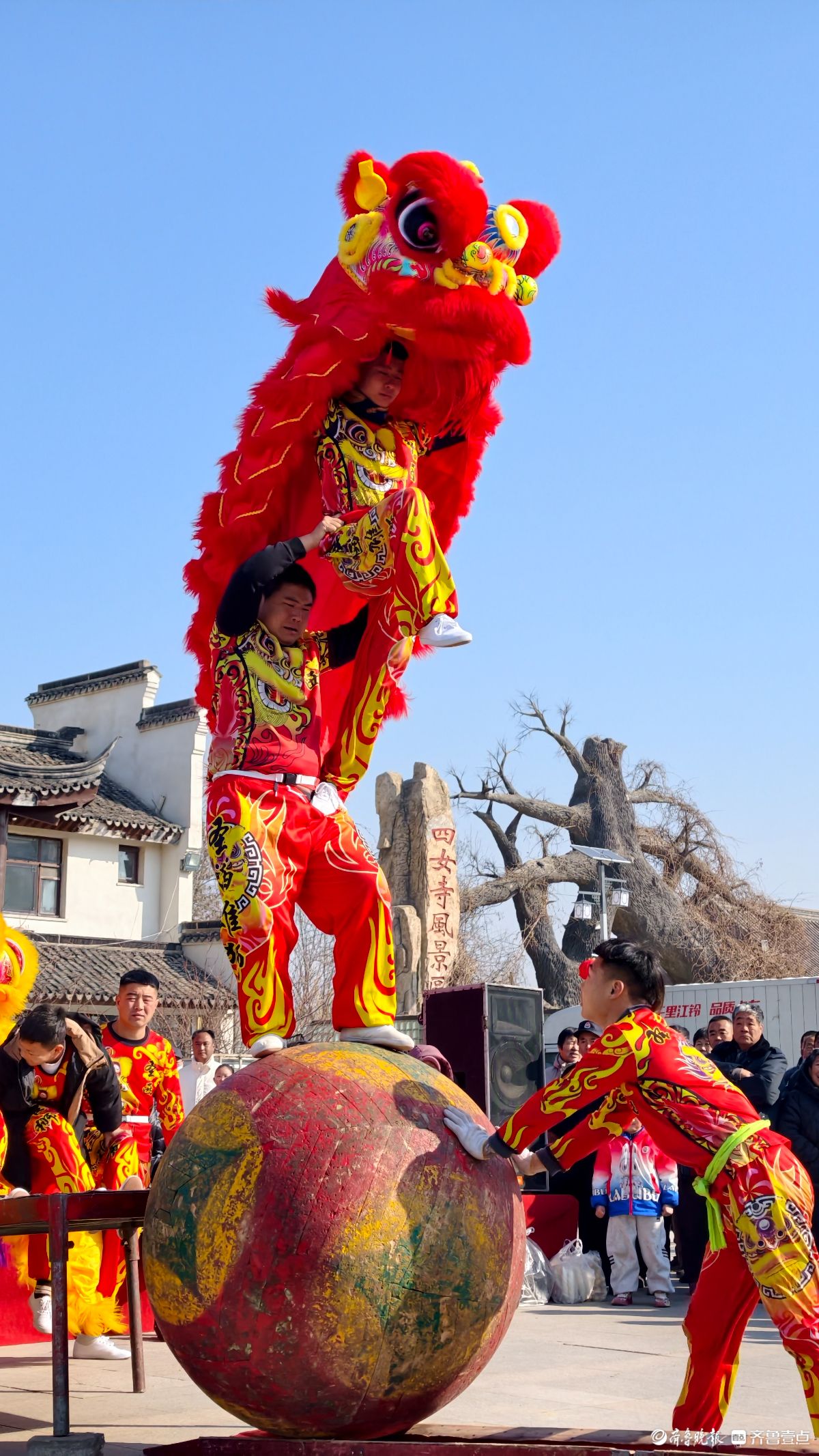 新春随手拍|狮舞呈祥（手机摄影）
