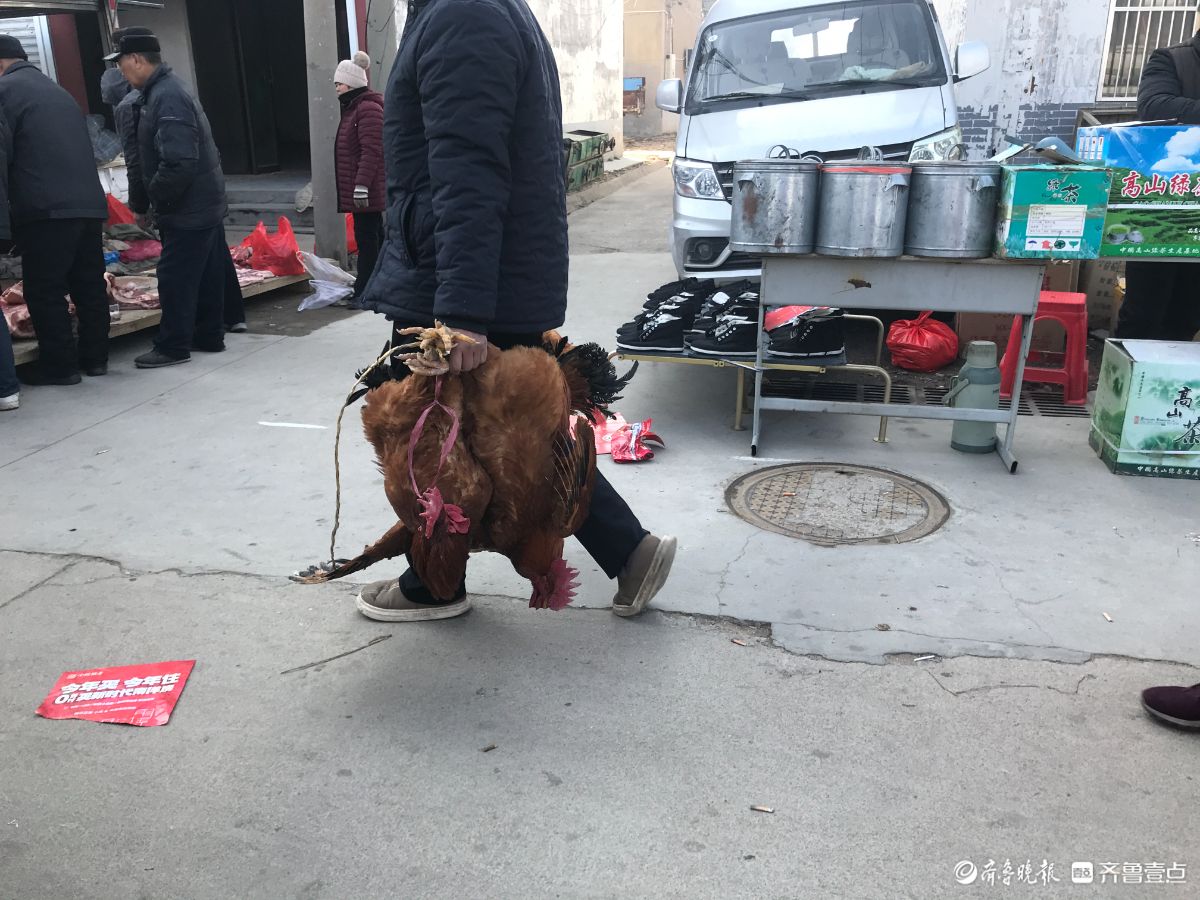 新春随手拍|新春赶大集（手机摄影）