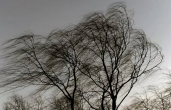 假期首日冷空气来袭,山东部分地区骤降10℃+