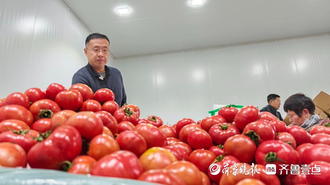 新春走基层|程序员回乡种番茄：一个西红柿里藏着28项专利