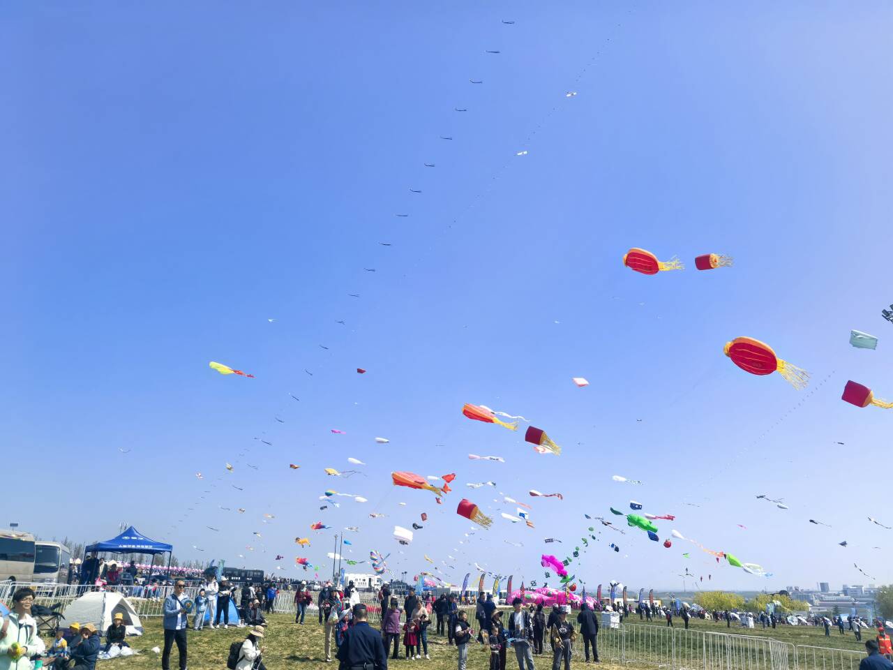 潍坊市风筝文化产业规模达106.71亿元