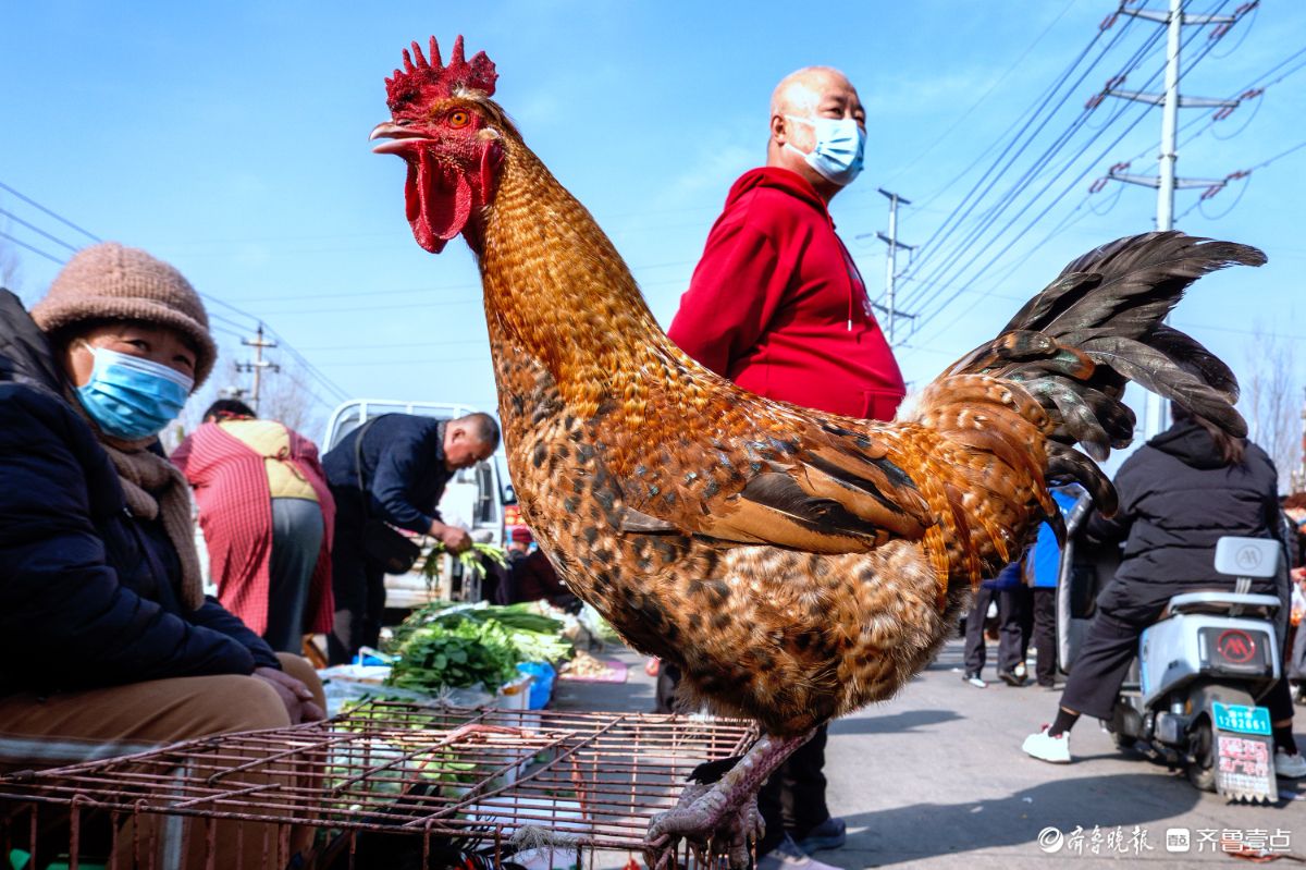 新春随手拍|新春到，人间烟火气浓浓