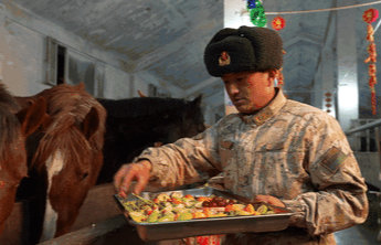 上完春晚,这些军马去干啥了?