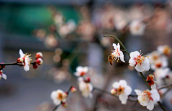 壹点日历2.18|今日雨水！雨落生百谷，心暖自成春