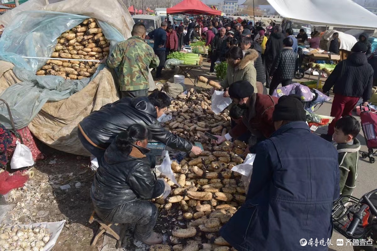 新春随手拍｜蒙山柏林赶大集，烟火气里年味浓