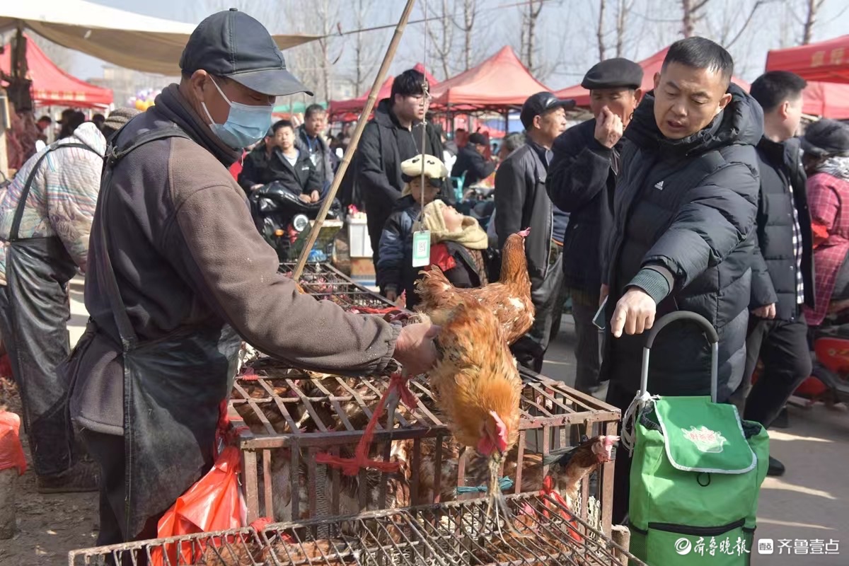 新春随手拍｜蒙山柏林赶大集，烟火气里年味浓