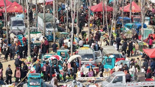 新春随手拍|蒙山柏林赶大集,烟火气里年味浓
