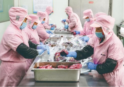 新春走基层|潍坊临朐鹅肝企业春节“不打烊”,订单排至三月底