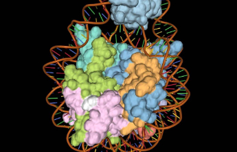打造消灭癌细胞的“超级守护者”，中国科学家最新成果为癌症免疫疗法提供新思路