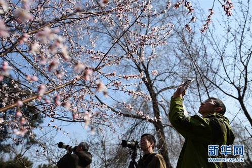 一场极致的气温震荡来了!济南初五飙升至25℃后猛降15℃以上