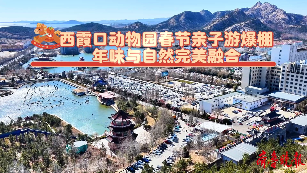 果然视频丨春节亲子游爆棚，年味活动受热捧