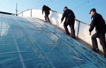 大棚里面有“警”色，他们守护樱桃园的幸福年