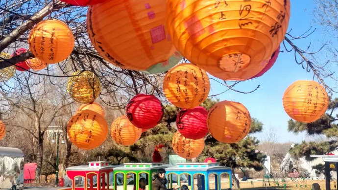 直播济南|新春祈福、亲子猜灯谜……打卡最有年味的“花花世界”