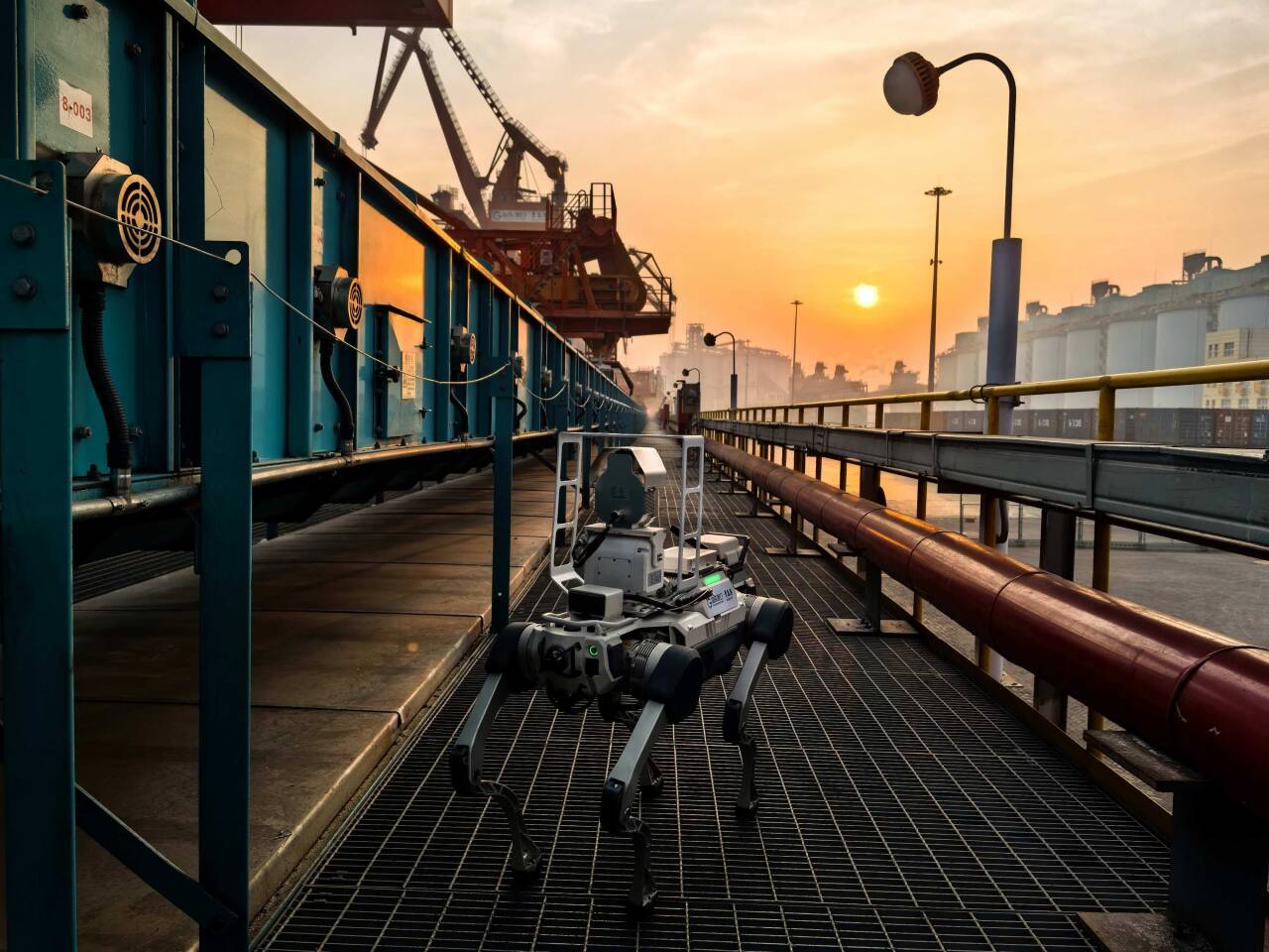 专题丨马上过大年 山海迎新春