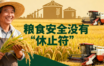 粮食安全没有“休止符”
