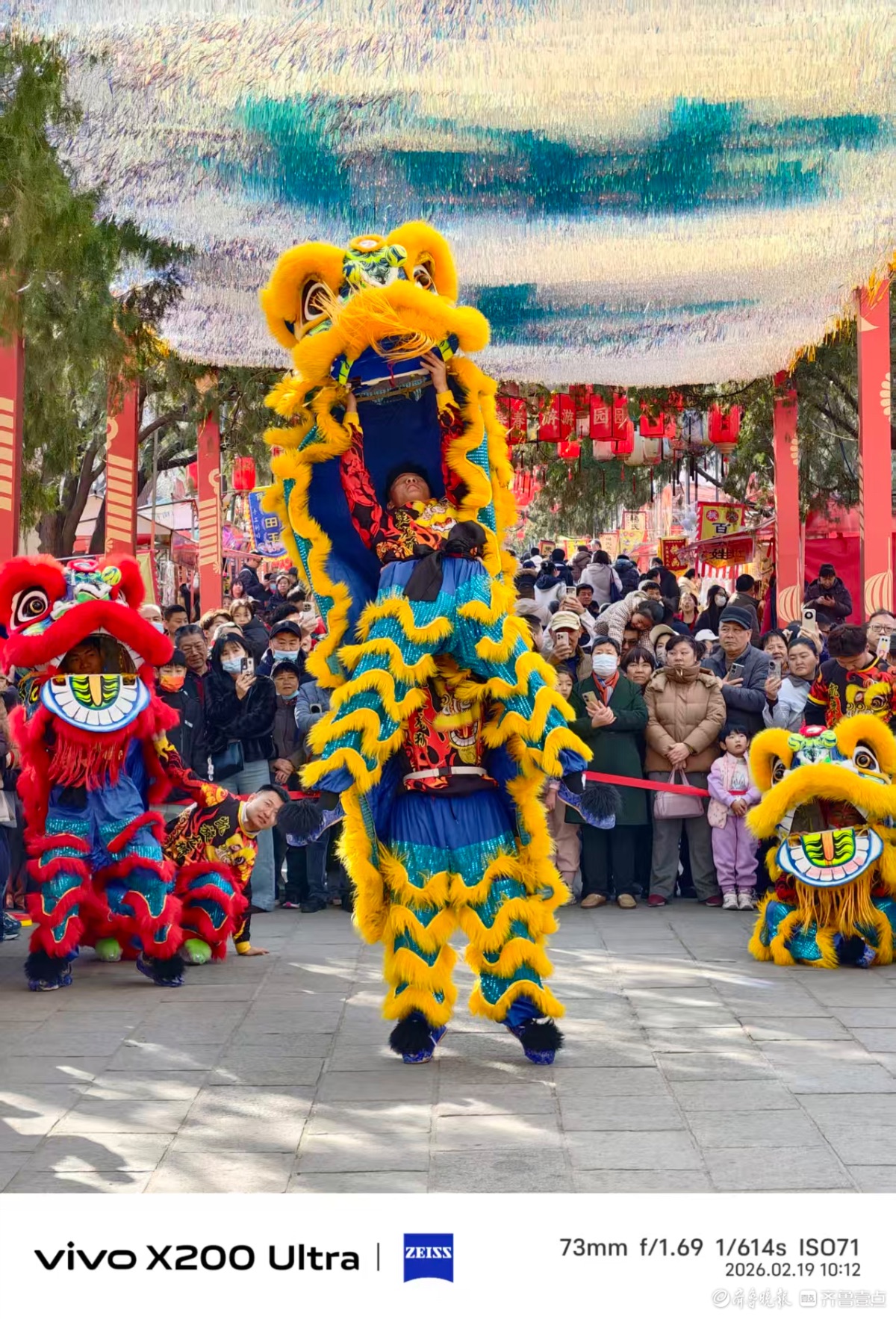 迎春纳福，我在记录 