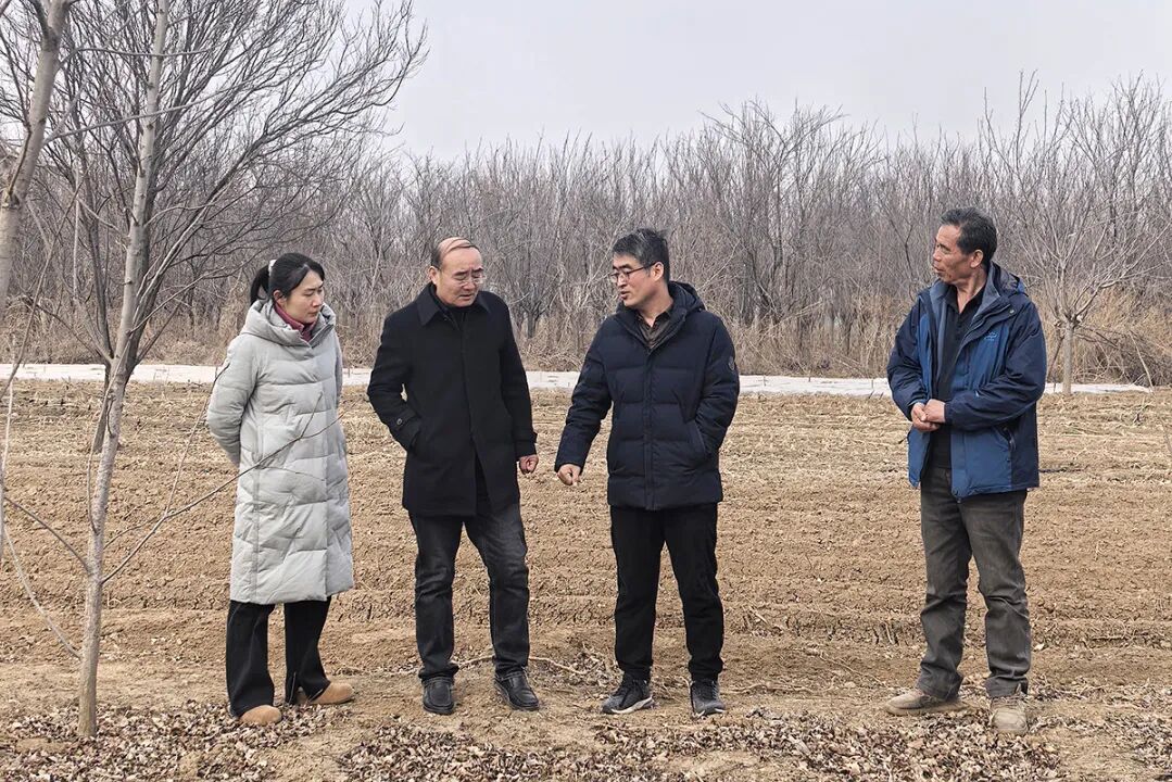 乡村振兴，山东科技特派员在行动