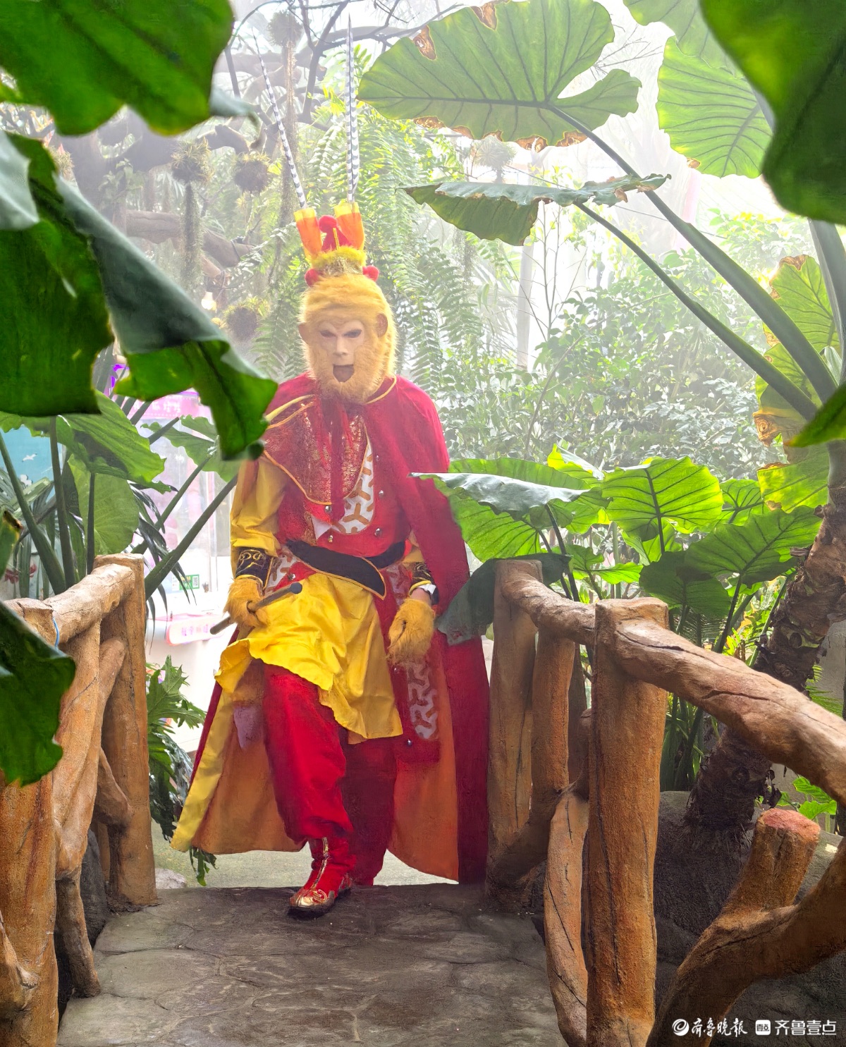 日照“热带雨林”里花红叶绿，游人如织