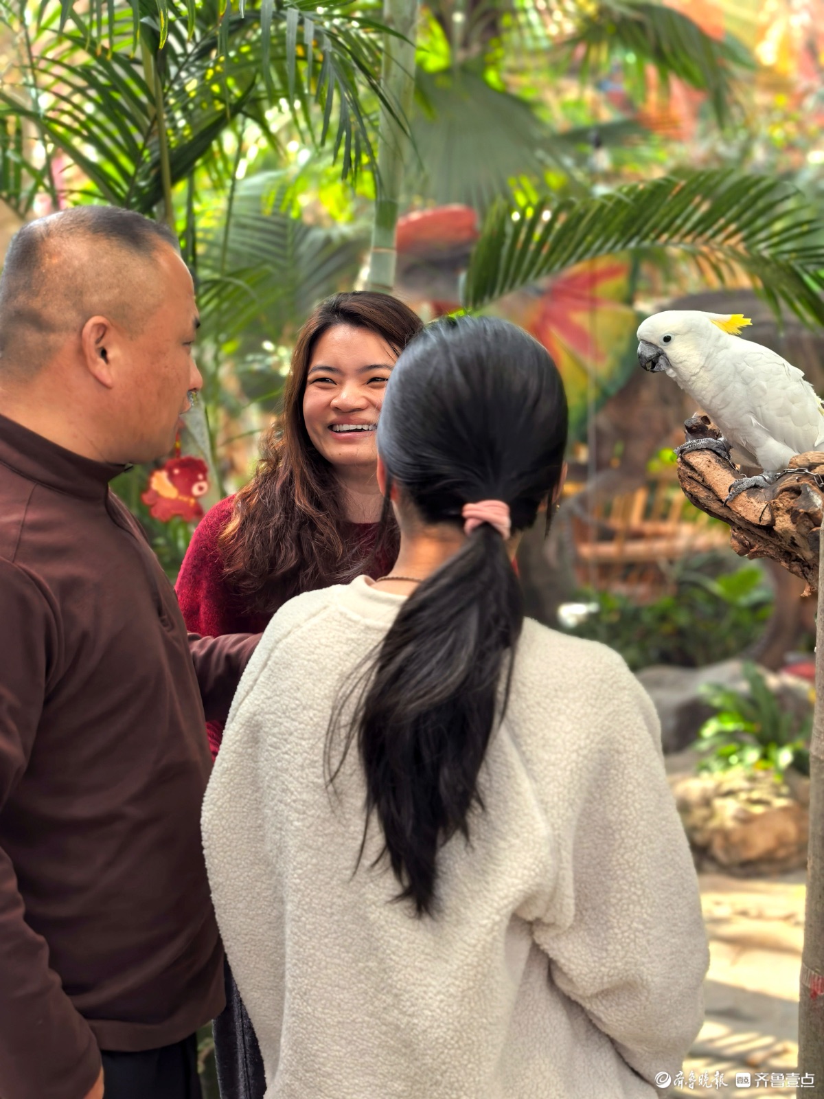 日照“热带雨林”里花红叶绿，游人如织