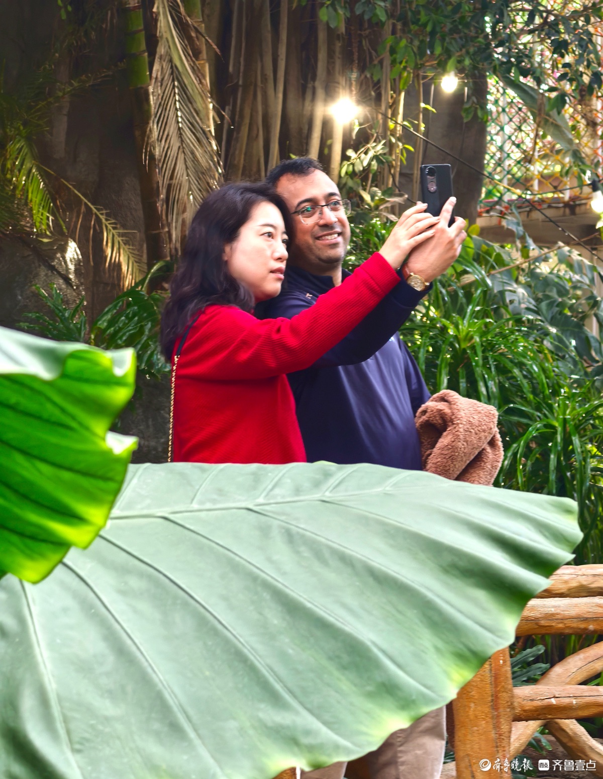 日照“热带雨林”里花红叶绿，游人如织