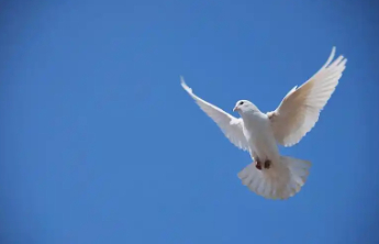 美国对伊动武是否一触即发