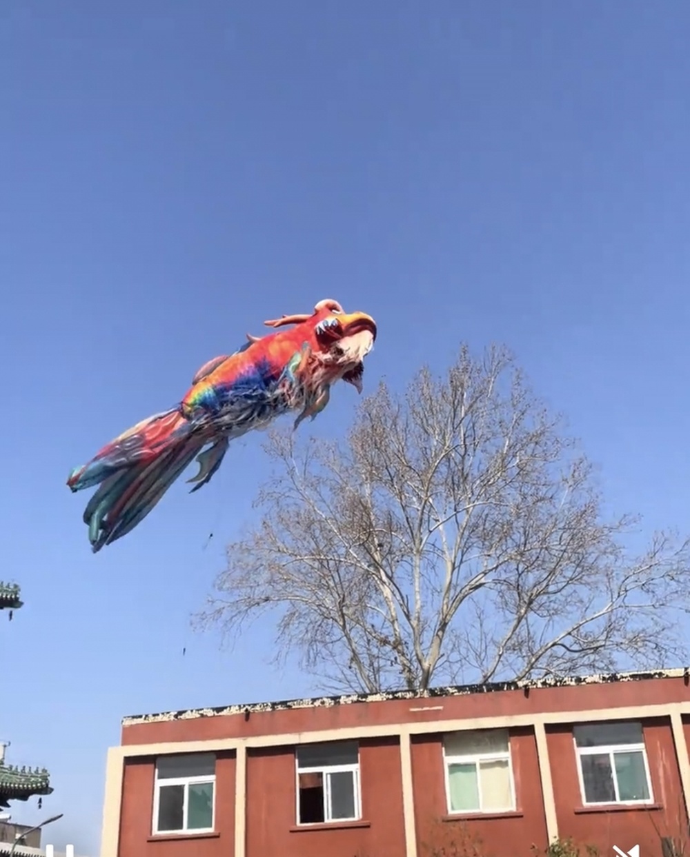 济南上新街展出的巨型鳌鱼意外被风吹走，网友：金鳞岂是池中物，一遇风云便化龙