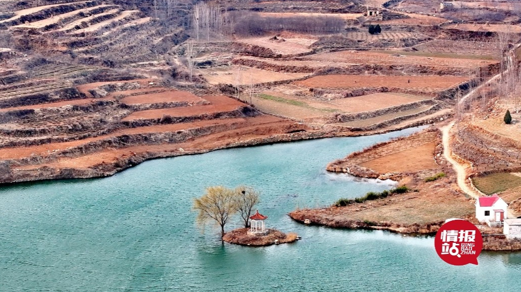 壹粉过大年|临沂蒙阴梯田麦苗青青，一派浓浓的春天气息！
