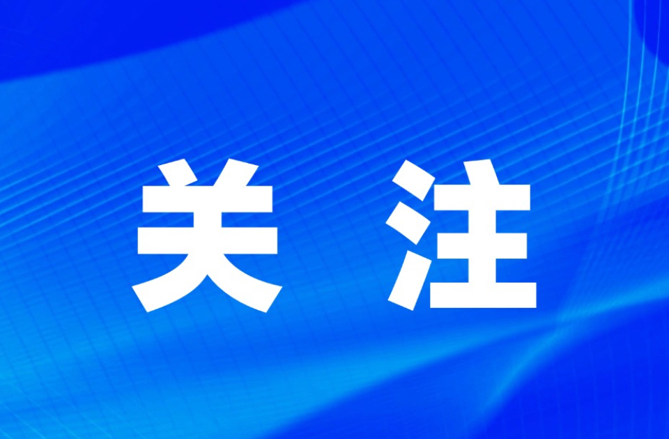 寒潮预警！东营再迎大风降温天气