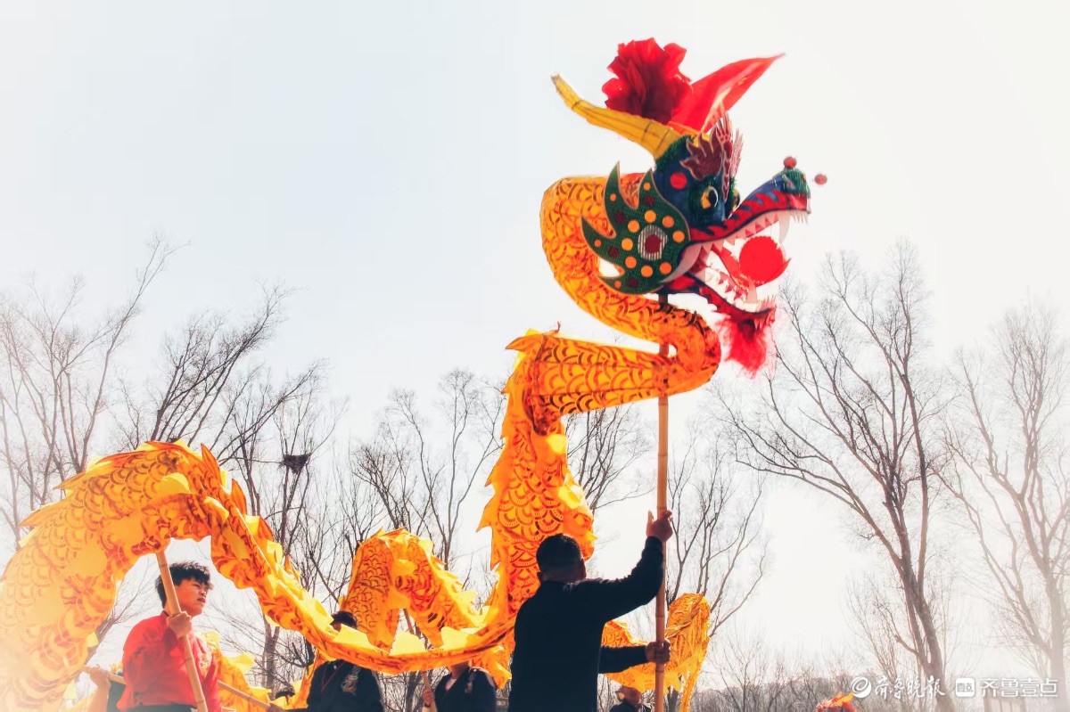华山公园看舞龙，锣鼓喧天年味浓