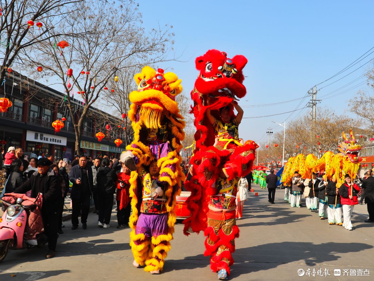 新春随手拍|巨龙雄狮街头贺新春，马年马头古镇迎盛景
