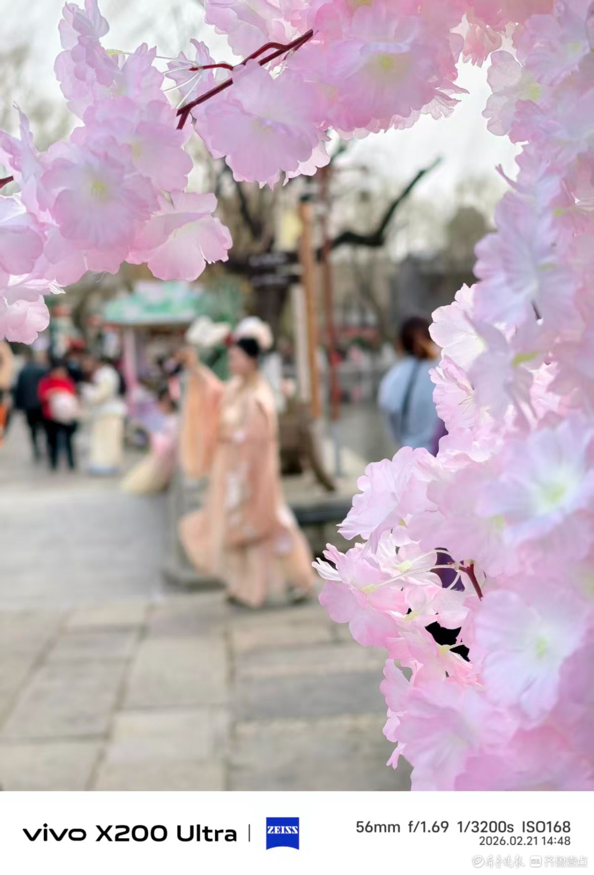 百花洲里，我在记录