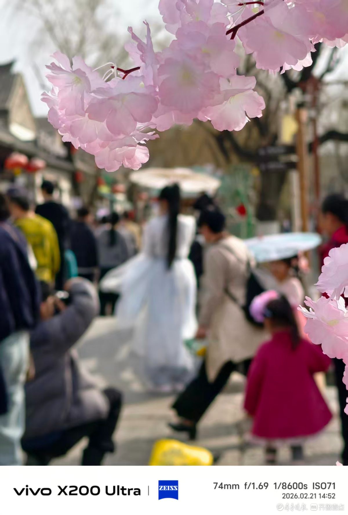 百花洲里，我在记录