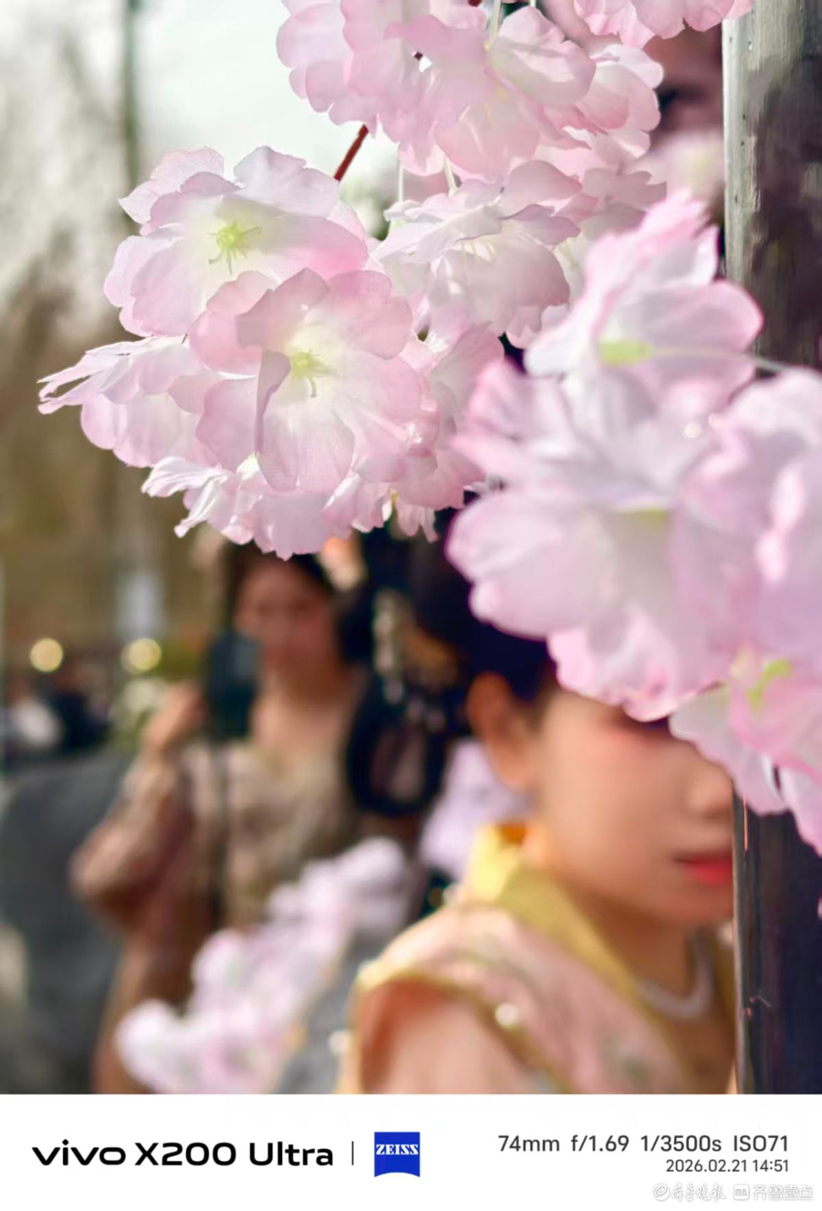 百花洲里，我在记录