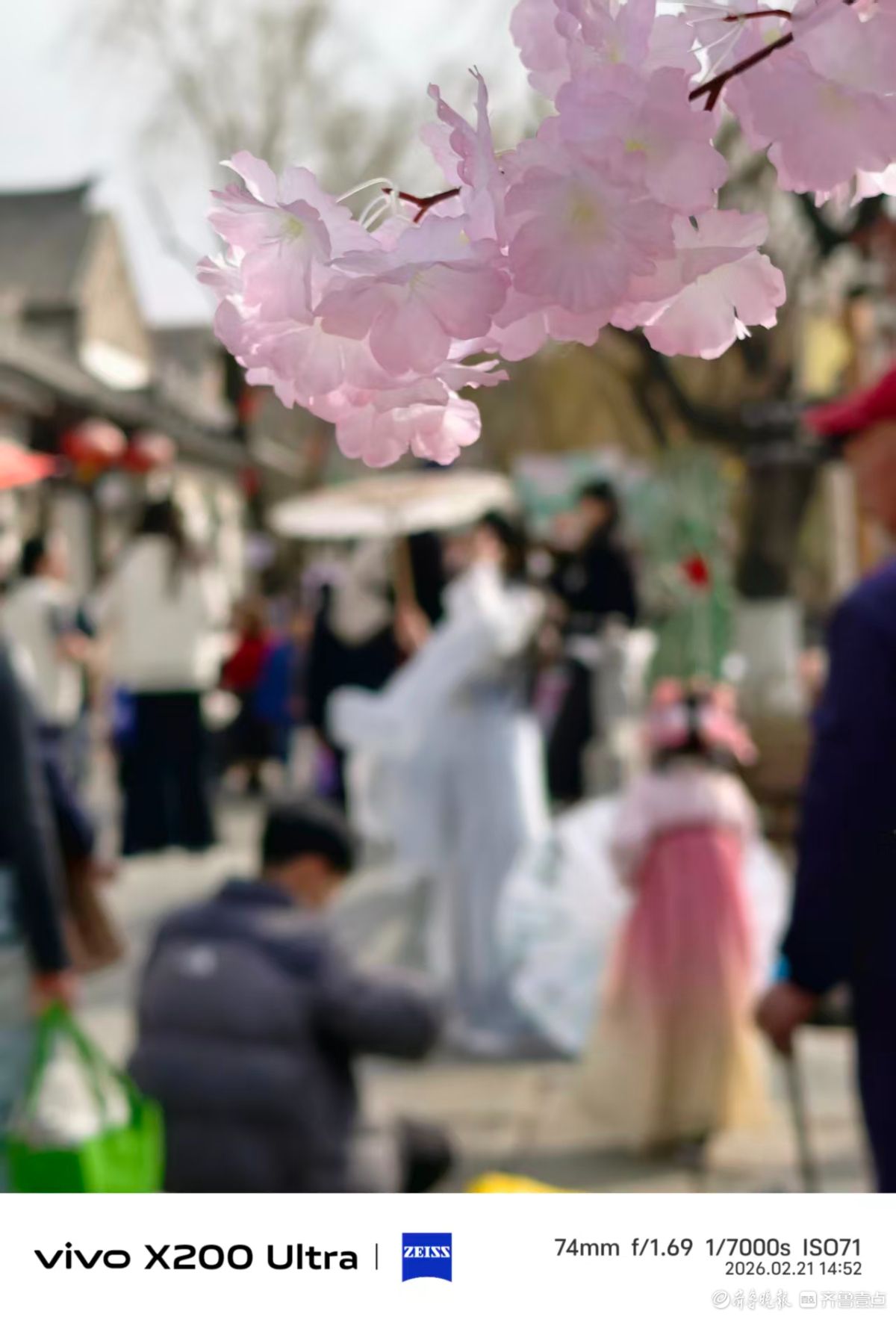 百花洲里，我在记录