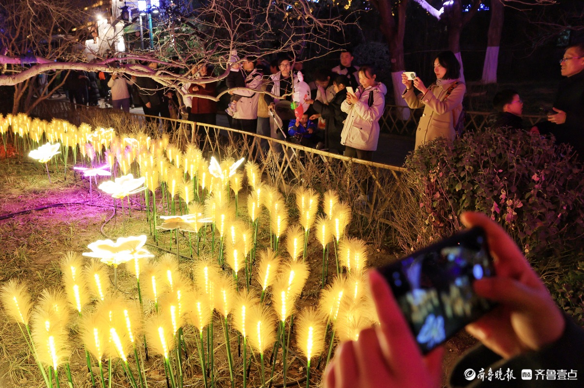 花灯璀璨映泉城，五龙潭里年味浓