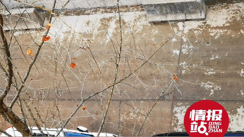 天气情报站|春雨贵如油!大年初七的午后,济南多地迎来绵绵春雨